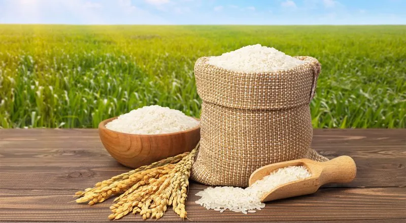 برنج بازرگانی بنا زاده